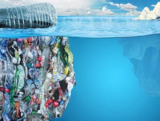 tác hại ô nhiễm môi trường nhựa dùng một lần